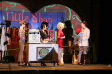 Little Shop of Horrors 223